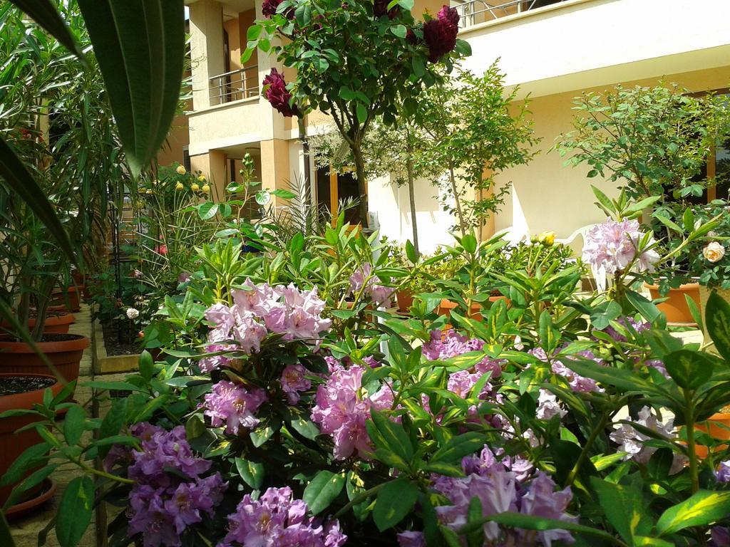 Hotel Chuchulev ソゾポル エクステリア 写真